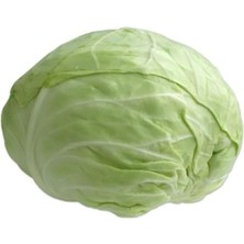 MarkEntegra Profesyonel Beyaz Lahana Tohumu - 5 Gram