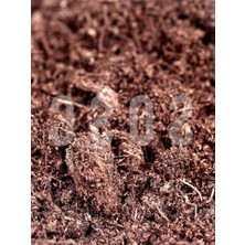 MarkEntegra Premium Kalite Sphagnum Bitki Yetiştirme Torfu - 1 Litre