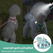 MarkEntegra Nefes Alabilir Reflektif Yürüyüş Yeleği ve Tasma Seti (Yeşil)