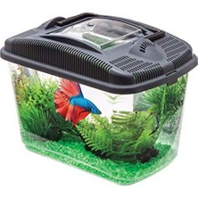 MarkEntegra Betta Balığı Için Akvaryum Seti