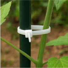 MarkEntegra 3.6X150 mm Beyaz Plastik Cırt Kelepçe - Çok Amaçlı, Dayanıklı ve Kolay Kullanım