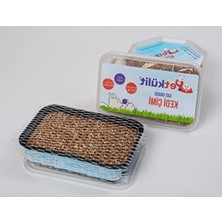 MarkEntegra Şeffaf Kedi Çimi - Doğal ve Sağlıklı