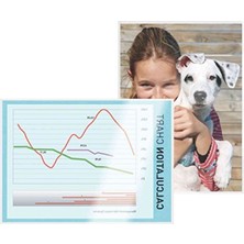 MarkEntegra A3 Laminasyon Poşeti, 100 Mikron, 100 Adet