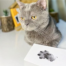 MarkEntegra Toksik Olmayan Mürekkepsiz Pati Izi Seti, Kedi ve Köpekler Için
