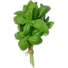 MarkEntegra Fesleğen Tohumu - 3 Gram