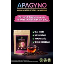 Apayrı Yaşam Regl, Kistler, Pko, Hormon Dengesine Yardımcı Bio Çay Karışımı % 100 Bitkisel Apagyno