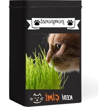 MarkEntegra Yıl Boyu Yeşil Kedi Çimi - Pomponet