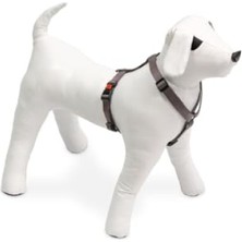 MarkEntegra Kilitli Göğüs Tasma, Xs, 25-40 Cm, Gri Renk