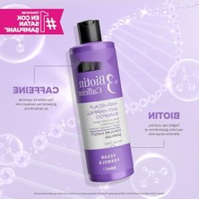 MarkEntegra Dökülme Karşıtı Vegan Saç Bakım Şampuanı 350 ml - Biotin & Kafein Içerikli