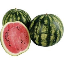 MarkEntegra C.sweet Karpuz Tohumu - 5 Gram