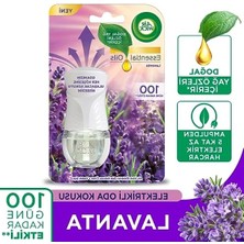 MarkEntegra Elektrikli Oda Kokusu Cihazı + Yedek Şişe (Lavanta)