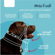 MarkEntegra Çekme Önleyici Köpek Halter - Boyut 2 (35-48 Cm), Siyah