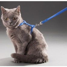 MarkEntegra Ayarlanabilir ve Konforlu Kedi Tasması - 110 cm