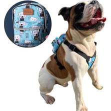 MarkEntegra Su Geçirmez Köpek Sırt Çantası - Çantalı Göğüs Tasması, Ayarlanabilir, Büyük Boy