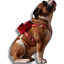 MarkEntegra Ayarlanabilir Çantalı Göğüs Tasması ile Çok Cepli Köpek Sırt Çantası