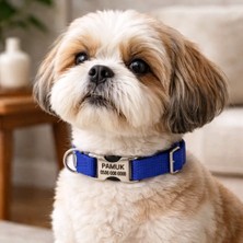 Ayz Markalama Metal Kilitli Küçük Irk Köpekler Için Tasma, Isimli Köpek Tasması, Kişiye Özel Köpek Boyun Tasması
