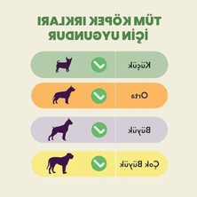 MarkEntegra %100 Doğal ve Glutensiz Horoz Ayak Çiğnemelik Ödül Maması 100 gr