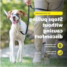 MarkEntegra Çekmesiz Köpek Yaka - Yürüyüş Kontrolü Için Ideal Çözüm