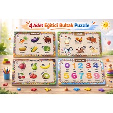 W-Design 4 Adet Eva Eğitici Bul Tak Puzzle Montessori Zeka ve Motor Beceri Geliştirici Oyuncak