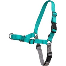 MarkEntegra Çekmeyi Önleyen Ayarlanabilir Köpek Göğüs Tasması, Large, Sarımsı Turkuaz/gri