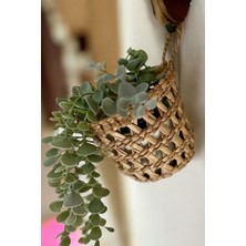 Çok Amaçlı Hasır Düzenleyici ve Kaktüs Saksılığı (13X10) Yurt Içi Üretim