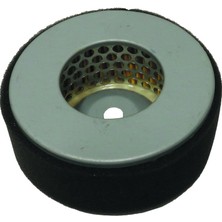 Palmera HP17008100K Hava Filitresi - Palmera PA-HP50D, PA-HP80D, 170, 178