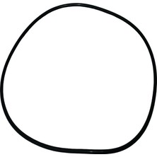 Palmera HP5D1002 Su Pompa Gövde O-Ringi 2'' - Palmera PA-HP50D, SDP20