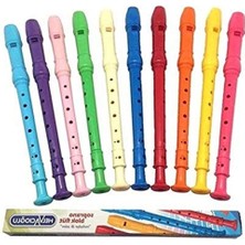 MarkEntegra Öğrenci Flüt - Tekli Asorti