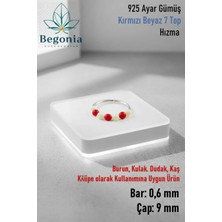 Begonia Accessories 925 Ayar Gümüş Piercing 7 Top Kırmızı Beyaz Boncuklu Halka Hızma & Kıkırdak Küpe