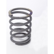 Flash 6.0.100800 Debriyaj Baskı Yayı - Flash 250, 300