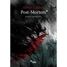 Afrodit AVM Post-Mortem