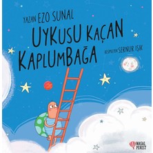 Afrodit AVM Uykusu Kaçan Kaplumbağa