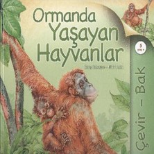 Afrodit AVM Çevir Bak Ormanda Yaşayan Hayvanlar