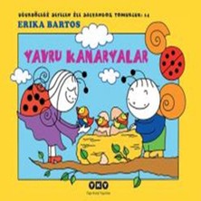 Afrodit AVM Uğurböceği Sevecen ile Salyangoz Tomurcuk 14 - Yavru Kanaryalar