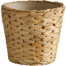 MarkEntegra Doğal Süs Sümbülü - 12 cm Hasır Saksıda