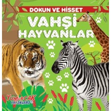 Afrodit AVM Dokun ve Hisset – Vahşi Hayvanlar