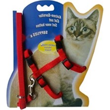 MarkEntegra Kedi Boyun Tasması ve Gezdirme Seti - Kırmızı