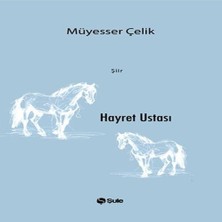 Afrodit AVM Hayret Ustası
