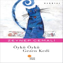 Afrodit AVM Öykü Öykü Gezen Kedi