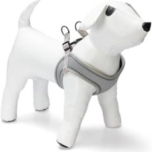 MarkEntegra Neopren Köpek Göğüs Tasması, Yeşil, Xs Boy, 30-35 cm Ayarlanabilir