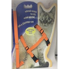 MarkEntegra Turuncu Kedi Göğüs Tasması ve Gezdirme Seti, No: 110