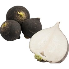 MarkEntegra Siyah Turp Tohumu (Çoklu) - 5 Gram