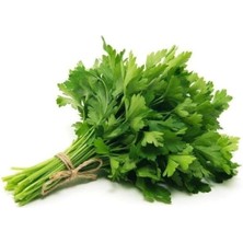 MarkEntegra Iri Yaprak Maydanoz Tohumu - 10 Gram