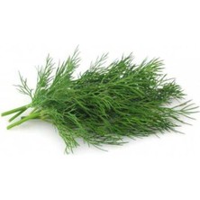 MarkEntegra Kokulu Dereotu Tohumu - 5 Gram