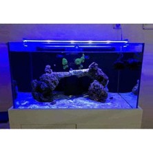 MarkEntegra Mavi 40 cm Akvaryum LED Aydınlatma