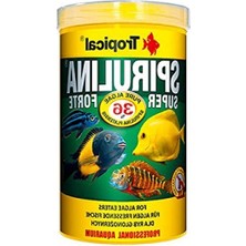 MarkEntegra Yetişkin Balık Pul Yem 100 gr