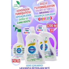 Rindamor Rındamor %100 Doğal Bitkisel Tüm Renkler Çamaşır Deterjanı Organik Lavanta Yağlı ve Leke Çıkarıcı Seti