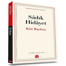 Afrodit AVM Kör Baykuş