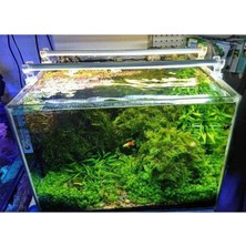 MarkEntegra 60 cm Uzunlukta 3000K Akvaryum LED Aydınlatma