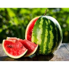 MarkEntegra Yüksek Verimli Crimson Sweet Karpuz Tohumu